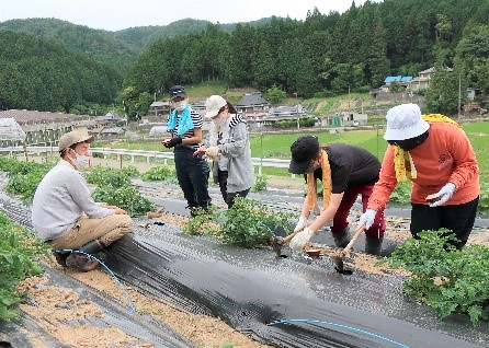 Osaka Seikei Topics 大阪成蹊大学